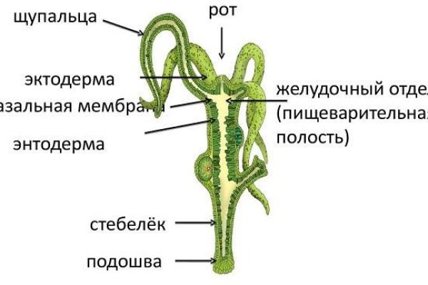 Кракен сайт что